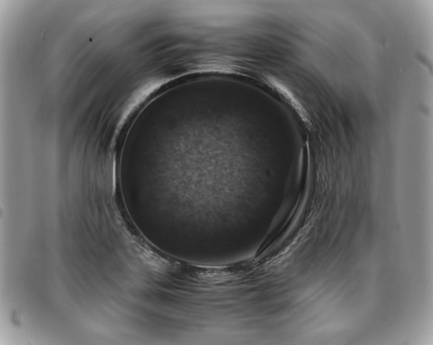 X0000096941323200802081157