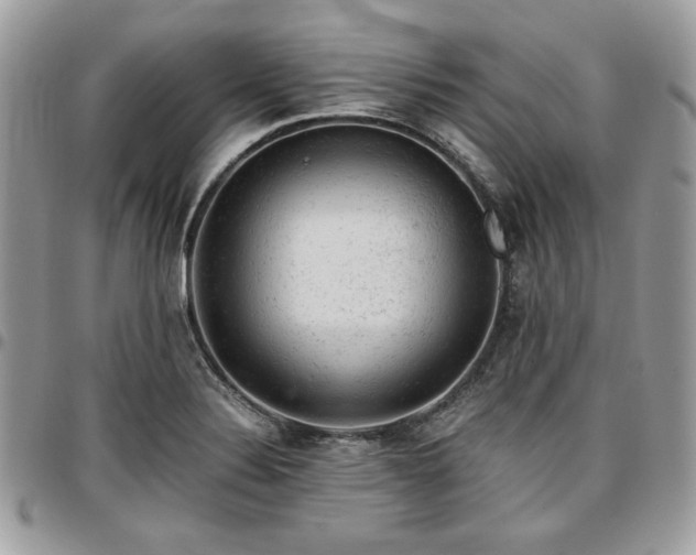 X0000096941324200802081157
