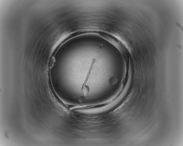 X0000096941325200802081157