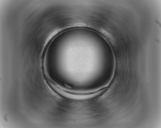 X0000096941326200802081157