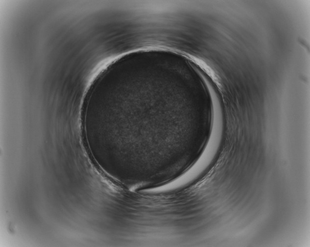 X0000096941327200802081157