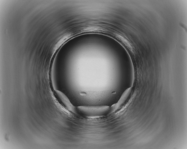 X0000096941330200802081157