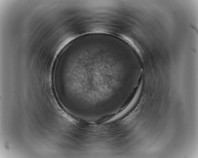 X0000096941331200802081157