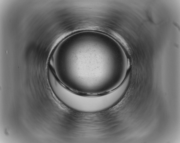 X0000096941332200802081157