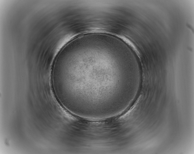 X0000096941333200802081157