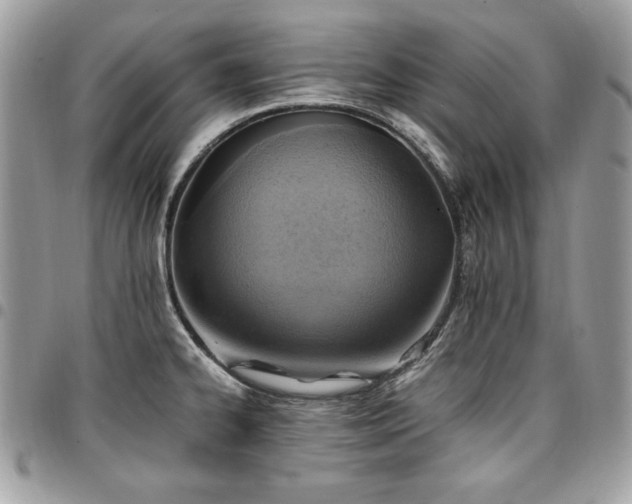 X0000096941334200802081157