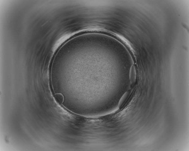 X0000096941335200802081157