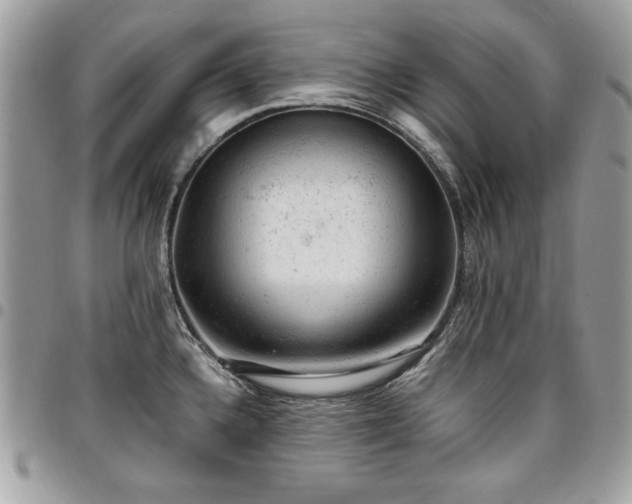 X0000096941336200802081157