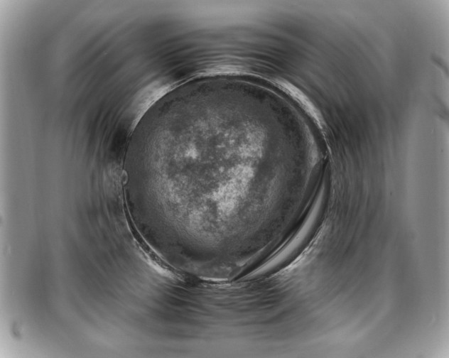 X0000096941337200802081157