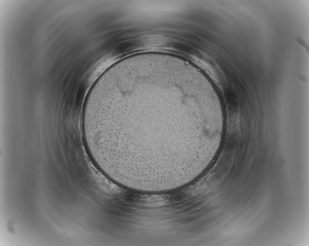 X0000096941338200802081157