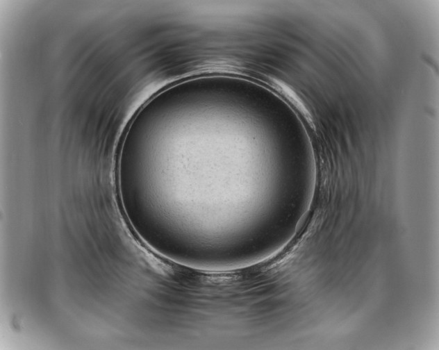 X0000096941339200802081157