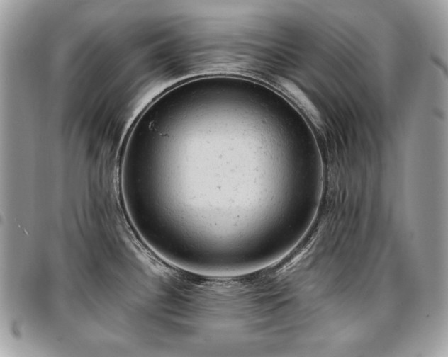 X0000096941340200802081157