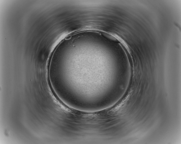 X0000096941341200802081157