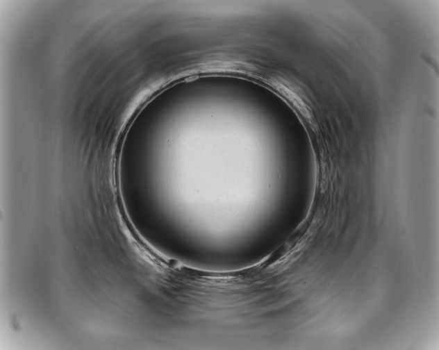 X0000096941342200802081157