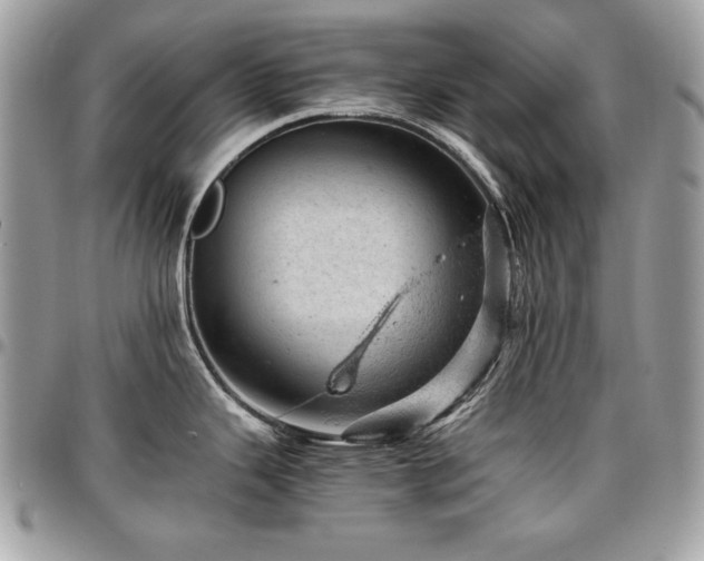 X0000096941343200802081157
