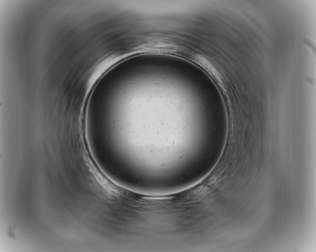 X0000096941344200802081157
