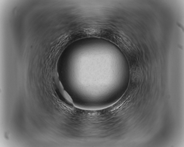 X0000096941345200802081156