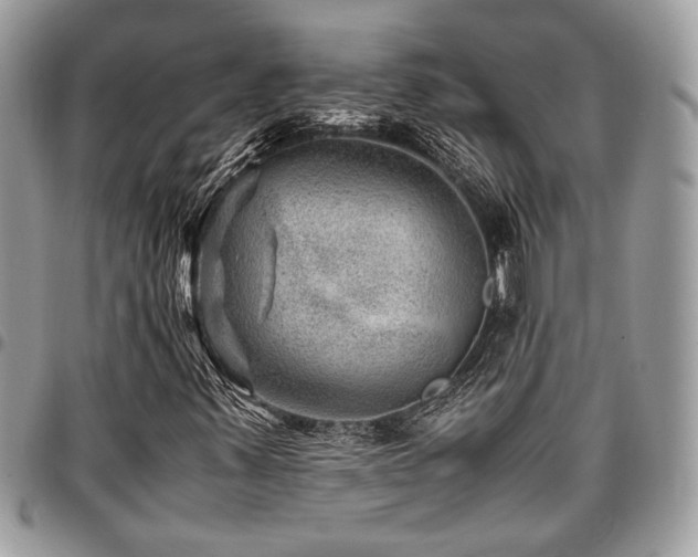 X0000096941347200802081156