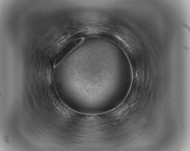 X0000096941348200802081156
