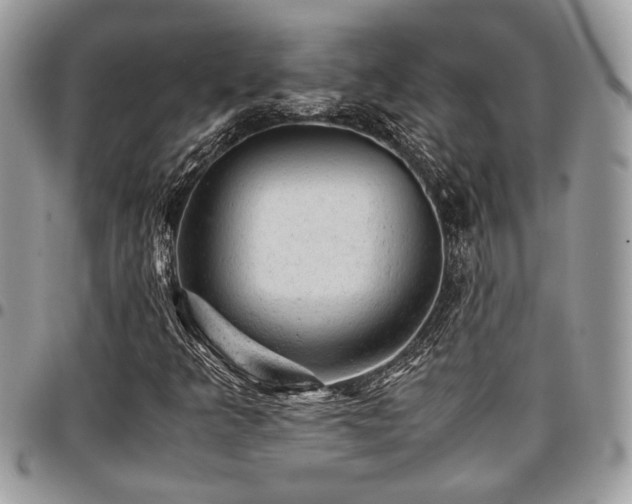X0000096941349200802081156