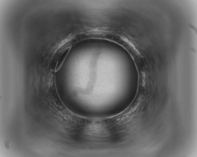 X0000096941350200802081156
