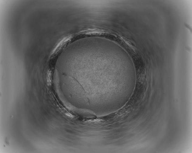 X0000096941351200802081156