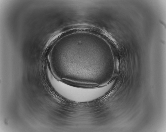 X0000096941352200802081156