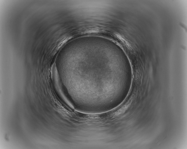 X0000096941353200802081156