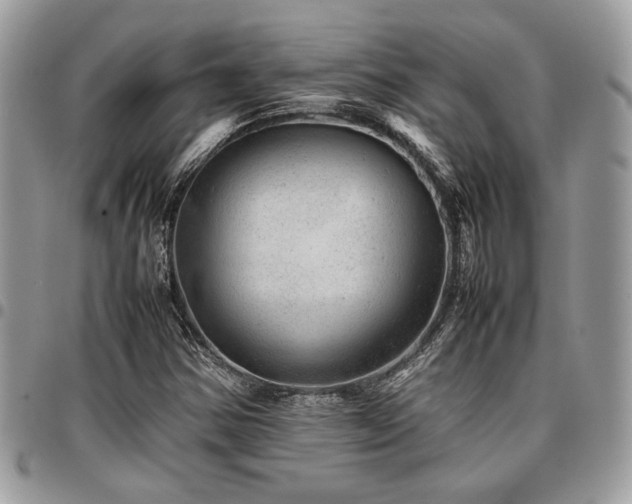 X0000096941354200802081156