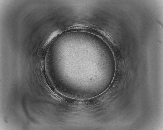 X0000096941355200802081156