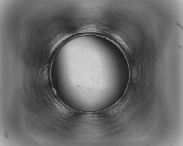 X0000096941356200802081156