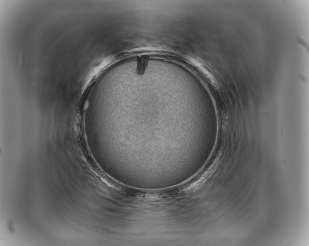 X0000096941357200802081156