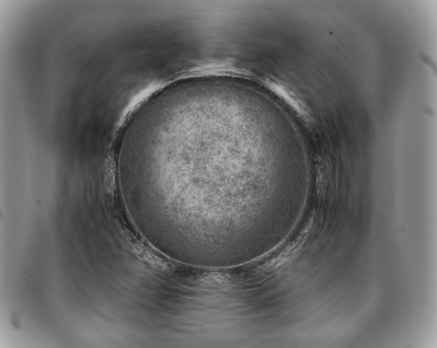 X0000096941358200802081156