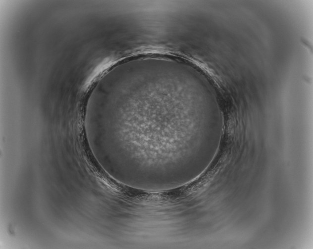 X0000096941359200802081156