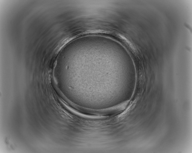 X0000096941361200802081156