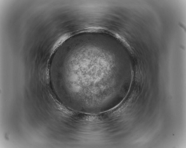 X0000096941362200802081156