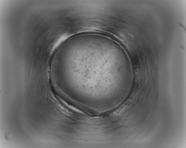 X0000096941363200802081156