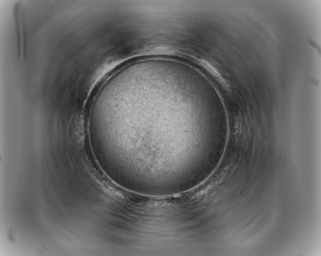 X0000096941364200802081156