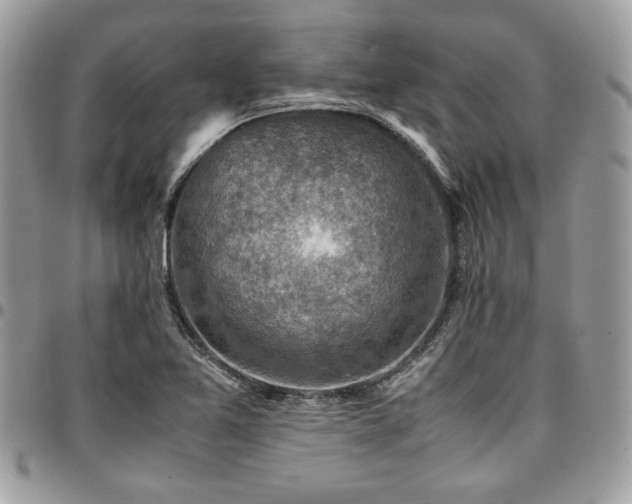X0000096941365200802081156