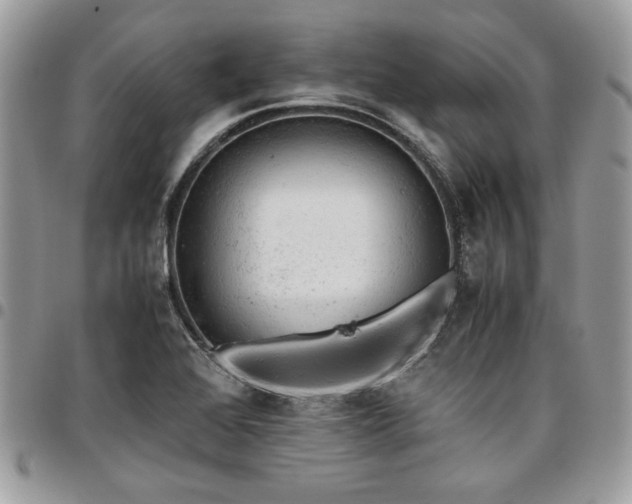 X0000096941368200802081156