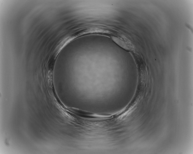 X0000096941369200802081156