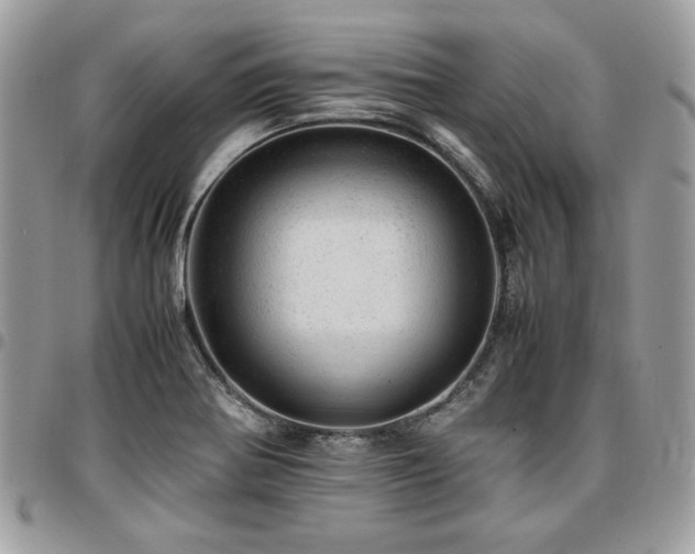 X0000096941370200802081156