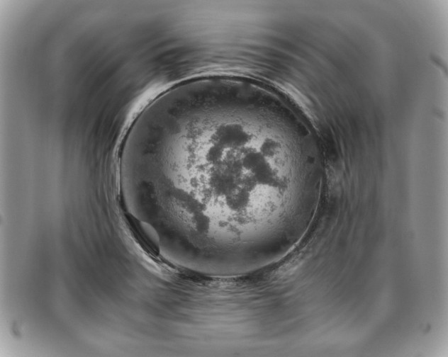 X0000096941371200802081156