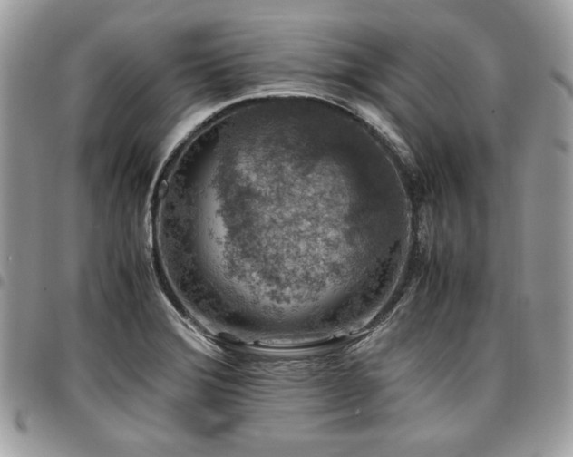 X0000096941372200802081156