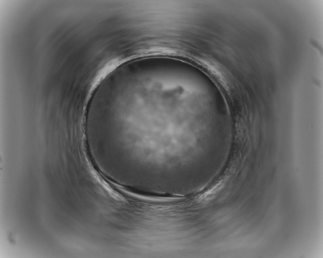 X0000096941373200802081156