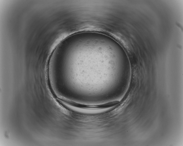 X0000096941375200802081156