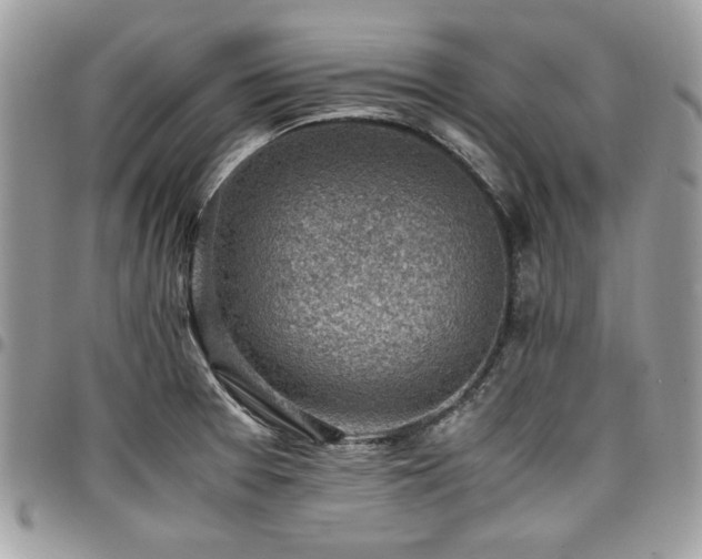 X0000096941377200802081156