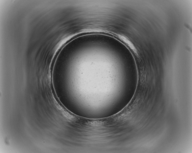 X0000096941380200802081155