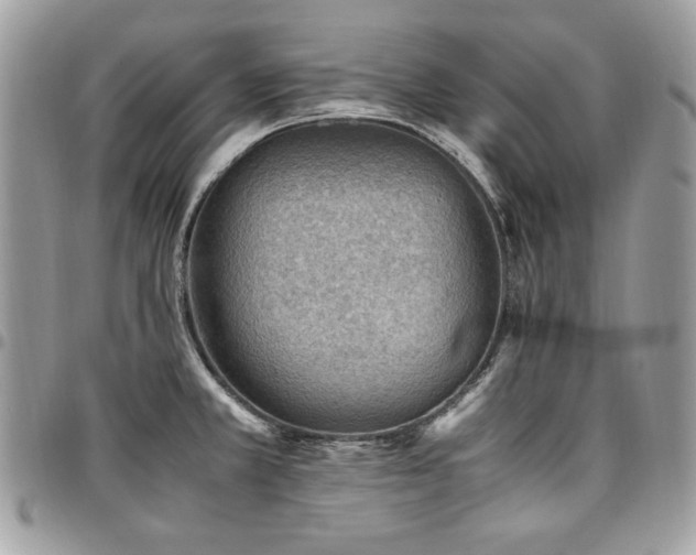 X0000096941381200802081155