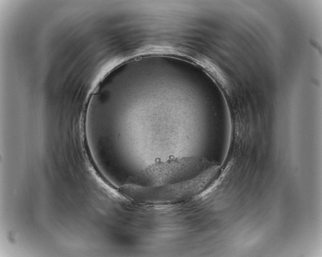 X0000096941382200802081155